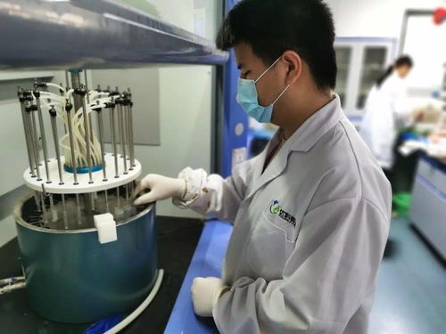 臨安區(qū)市場監(jiān)管局打造“透明快檢”工程 科技賦能守護(hù)舌尖安全