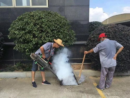 廣州增城專業(yè)除四害與保潔服務(wù) 守護(hù)家庭與環(huán)境健康